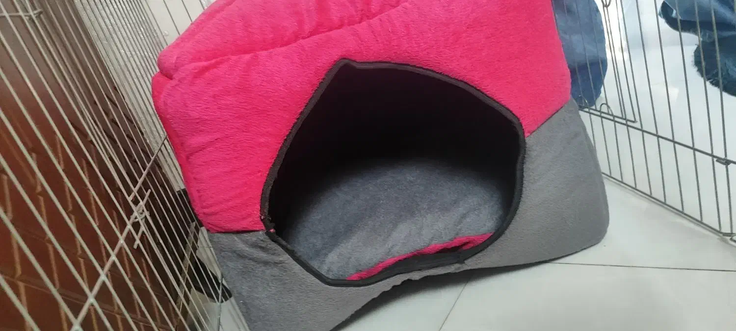 لوازم پت|لوازم جانبی حیوانات|تهران, اسفندیاری|دیوار