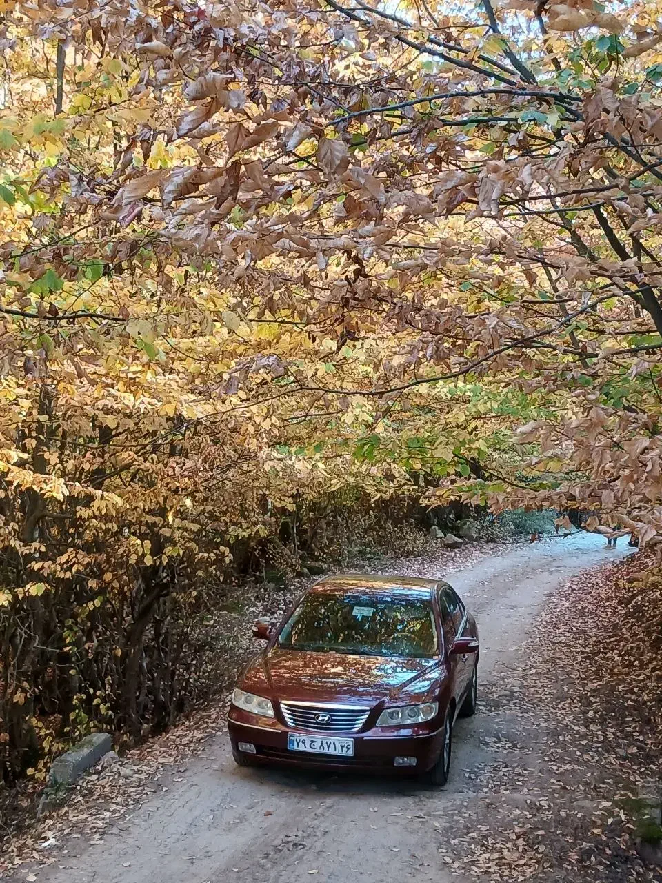 اجاره خودرو ازرا شرابی|خودرو اجاره‌ای|رشت, پیرسرا|دیوار