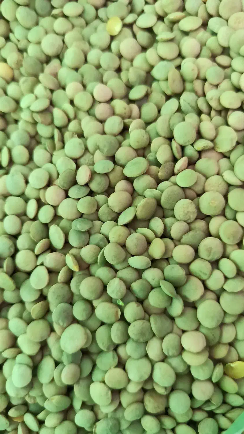 خرید و فروش و بوجاری انواع حبوبات|عمدهفروشی|مشگین شهر, |دیوار