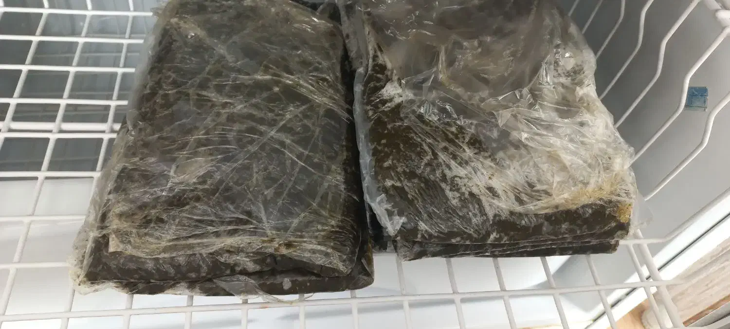 سبزی تازه|حراج|نجفآباد, جلال آباد|دیوار