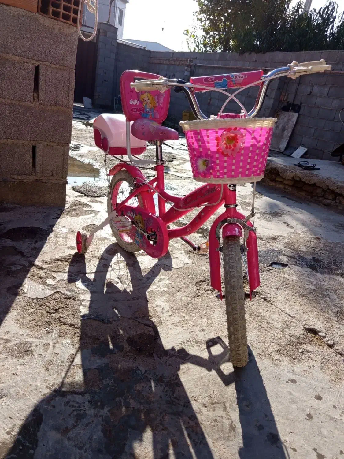 دوچرخه|دوچرخه، اسکیت، اسکوتر|بندر ترکمن, |دیوار