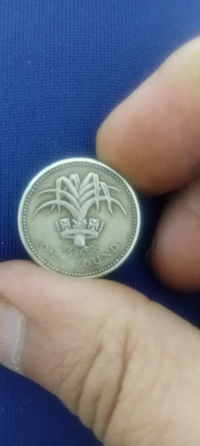 وسایل قدیمی|کلکسیون سکه، تمبر، اسکناس|صدرا-فارس, فاز ۱|دیوار