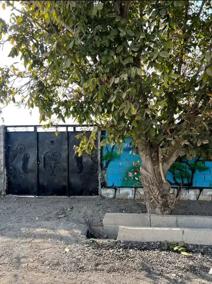 باغچه ۲۲۰ متری ( برق چسب ملک)|فروش زمین و ملک کلنگی|شهریار, اصیل آباد|دیوار