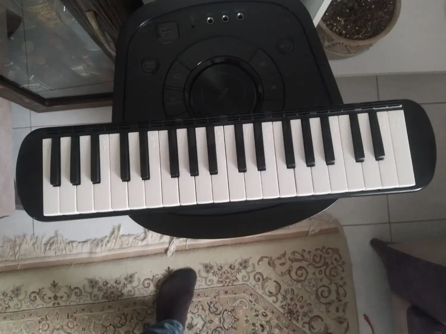 ملودیکا|سازهای بادی|بندر انزلی, سی متری|دیوار