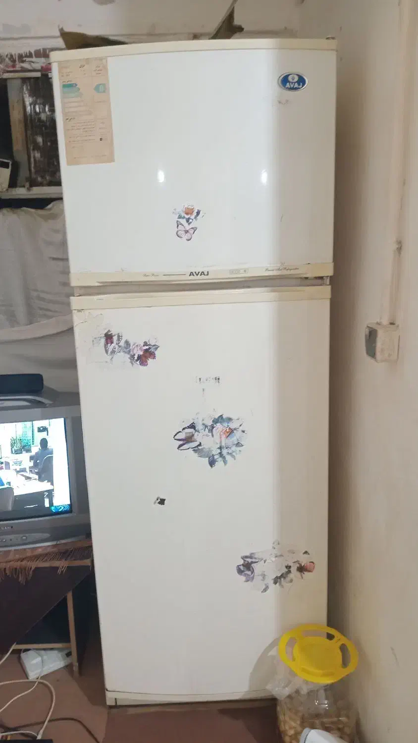 یخچال فلیزش سالم است پاین باید درست شود|یخچال و فریزر|کنارک, |دیوار