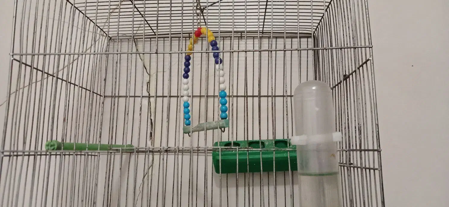 قفس پرنده|لوازم جانبی حیوانات|چهاردانگه (تهران), |دیوار