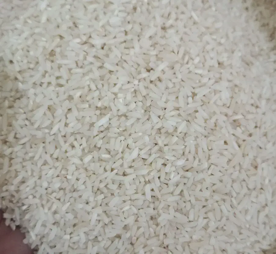 خرید کالا برگ|خوردنی و آشامیدنی|شاهرود, |دیوار