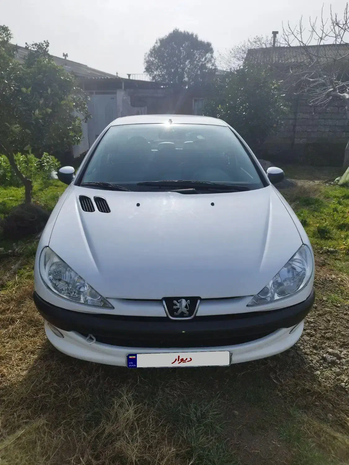 پژو 206 sd|خودرو سواری و وانت|بابلسر, |دیوار