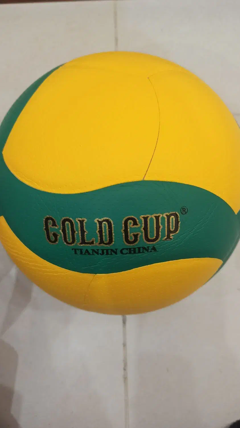 توپ والیبال|ورزش‌های توپی|اصفهان, سروستان|دیوار