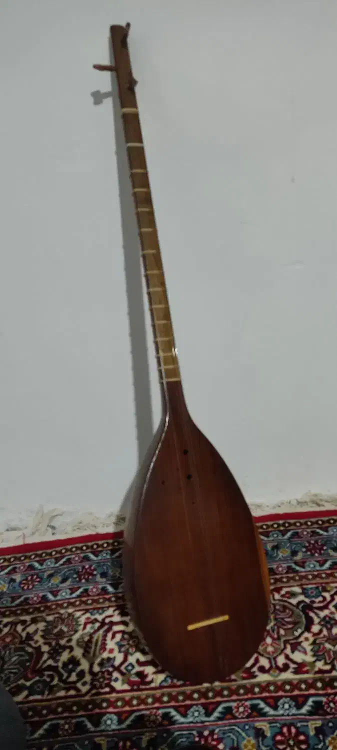 تنبور دست ساز|سازهای سنتی|صحنه, |دیوار