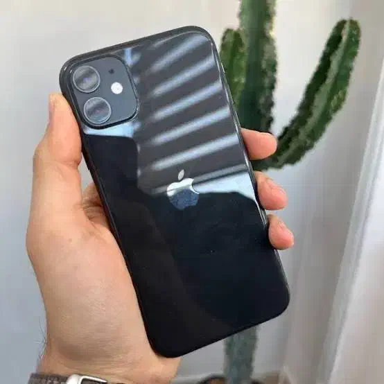 iPhone 11|موبایل|گناباد, |دیوار