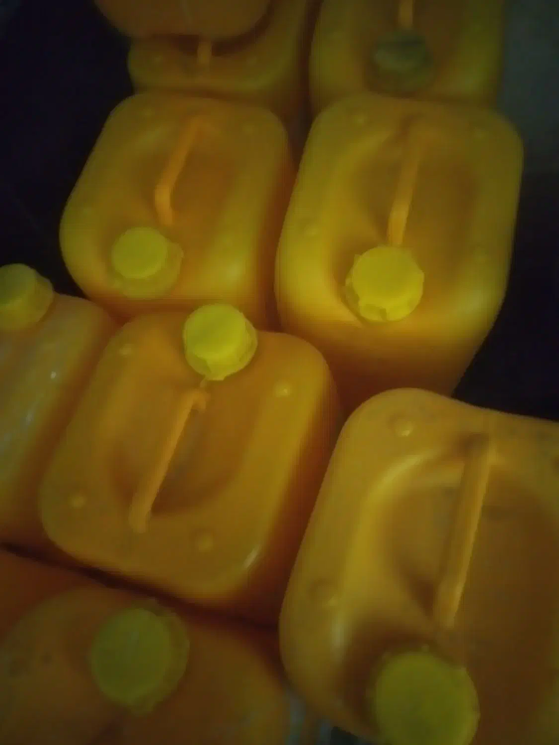 20لیتری|ظروف نگهدارنده، پلاستیکی، یکبارمصرف|بیرجند, |دیوار