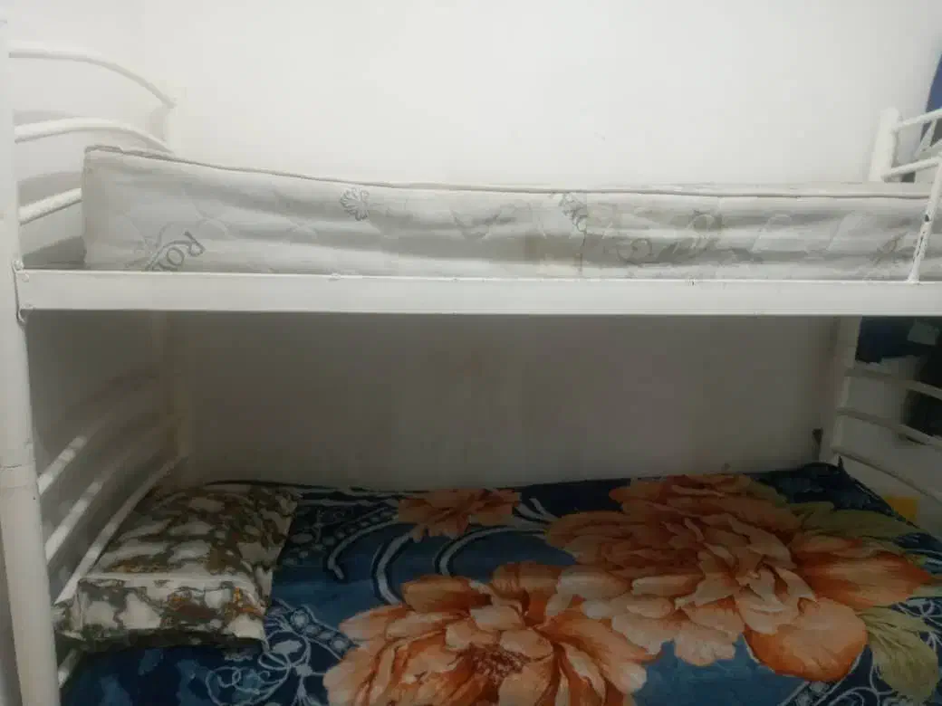 تخت خواب دو طبقه|تخت و سرویس خواب|دزفول, |دیوار