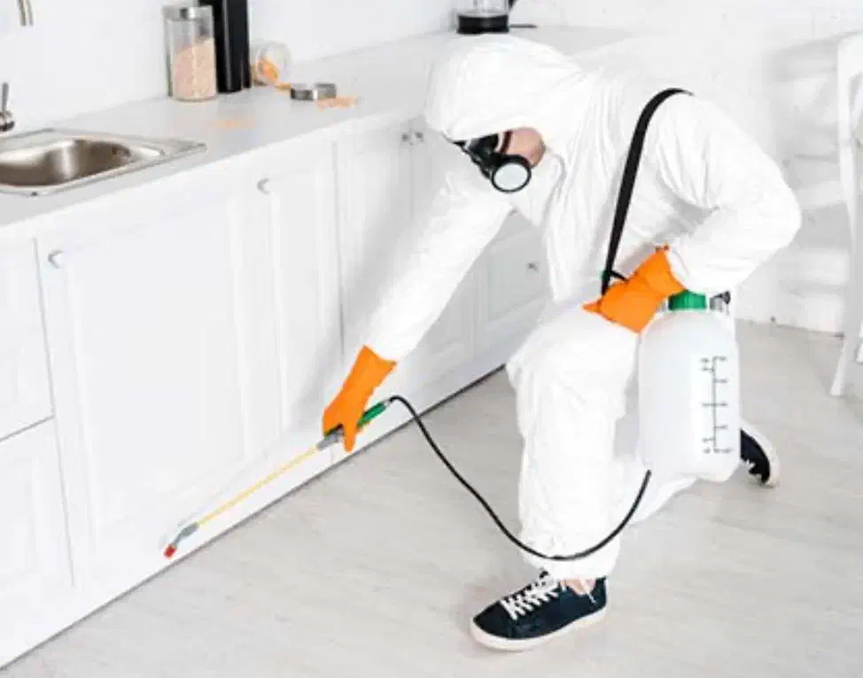 کارگر روزمزد جهت شرکت سم پاشی|استخدام سرایداری و نظافت|بندر ماهشهر, |دیوار