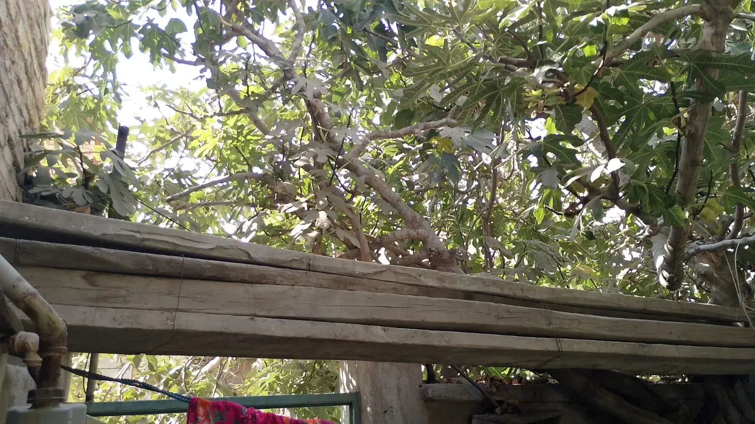 تخته بنایی|مصالح و تجهیزات ساختمان|نسیم‌شهر, |دیوار