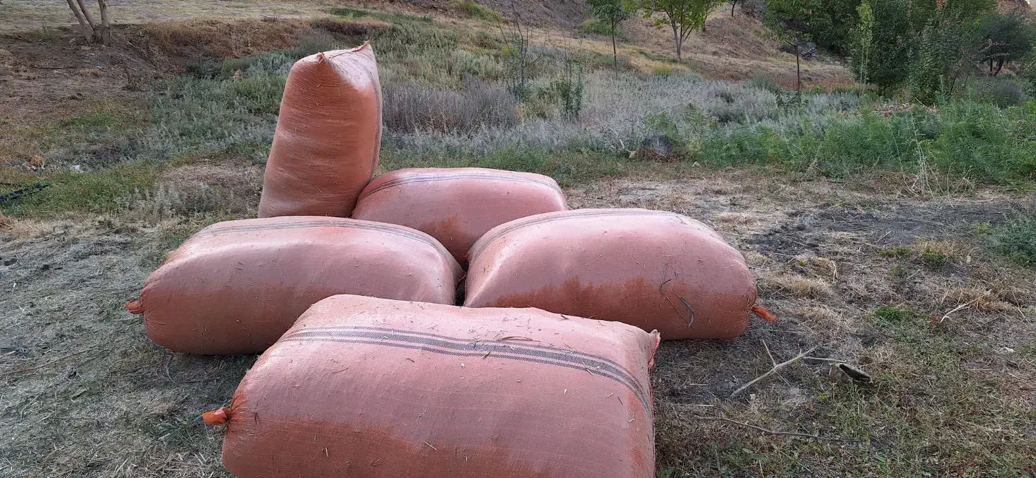 علف|خدمات باغبانی و درختکاری|مریوان, |دیوار