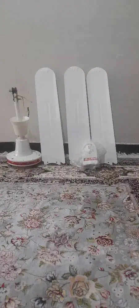 فروش پنکه سقفی|پنکه و تصفیهکنندهٔ هوا|دهلران, |دیوار