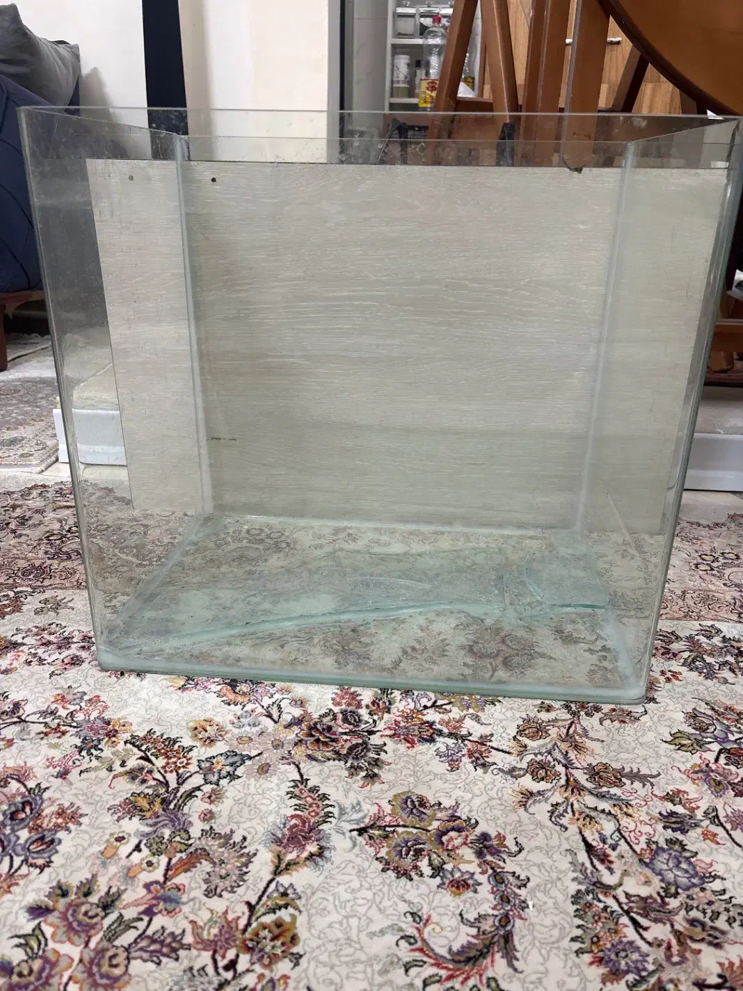 گیاه پلنت|ماهی|تهران, منیریه|دیوار