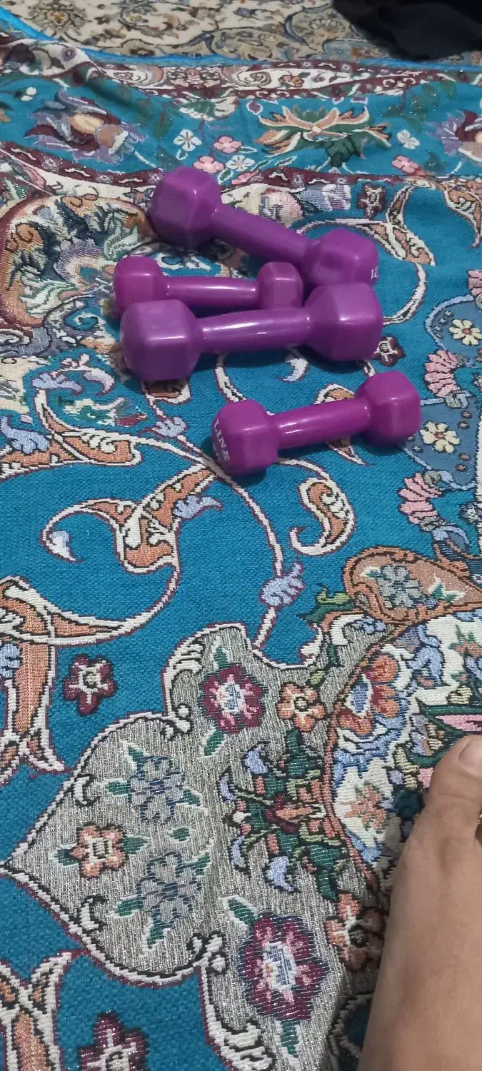 دمبل|تجهیزات ورزشی|تهران, خاک سفید|دیوار