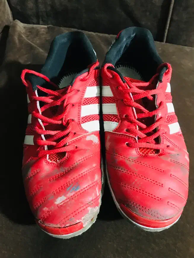 کفش سالنی تاپ سالا|تجهیزات ورزشی|گلبهار, شهر جدید گلبهار|دیوار