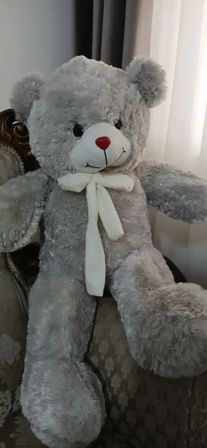 خرس یک متری|اسباب‌‌بازی|ساری, |دیوار