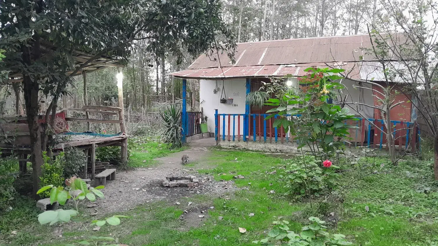 سوئیت دوخوابه و خونه سنتی تا ۳نفر ۳۵۰|اجارهٔ کوتاهمدت آپارتمان و سوئیت|ماسال, |دیوار