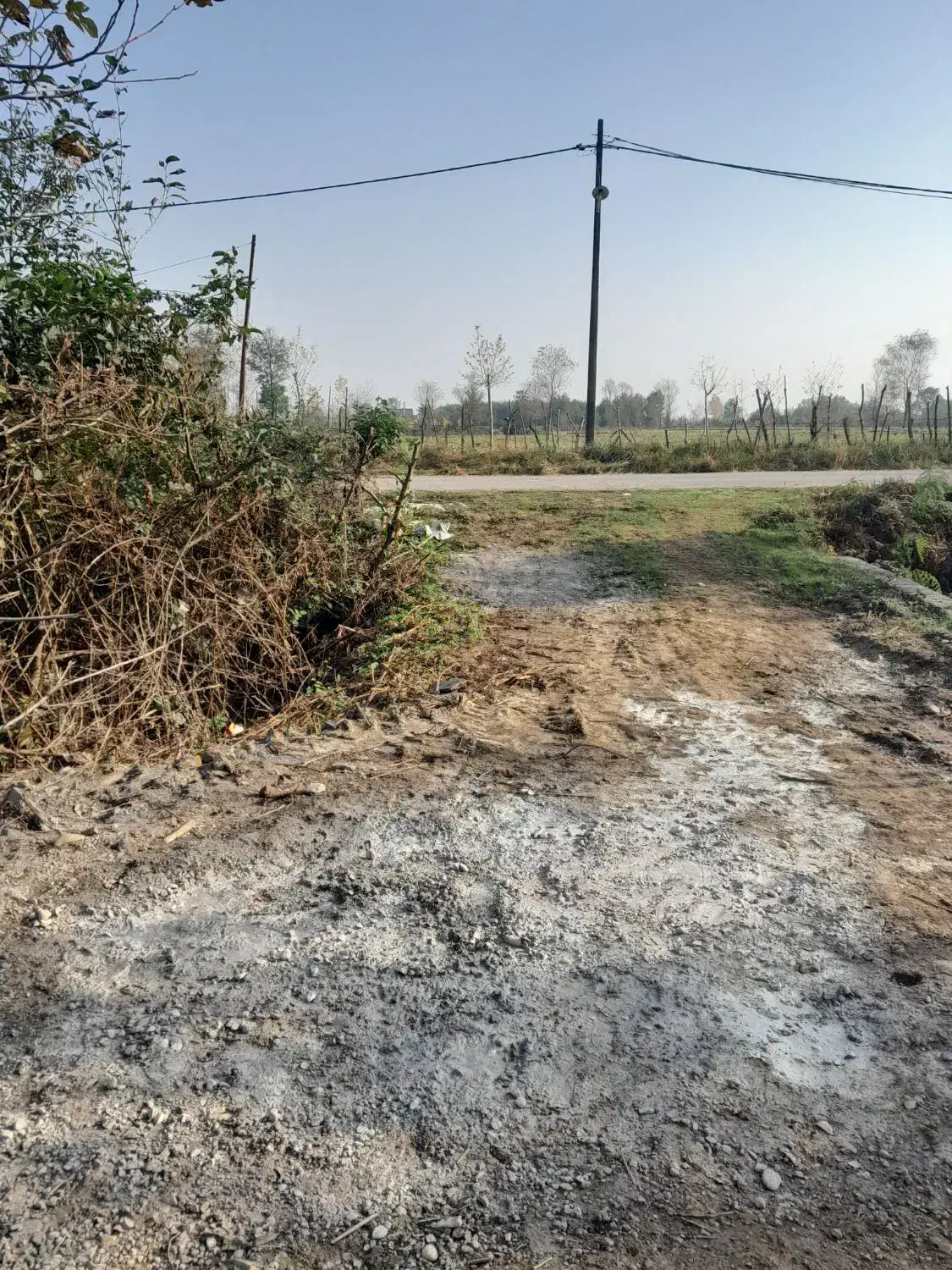 زمین مسکونی|فروش زمین و ملک کلنگی|سیاهکل, |دیوار