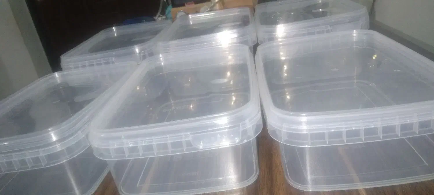 تولید وپخش ظروف ۱۰۰۰و۱۲۰۰ سی سی مایکروویووی|ظروف نگهدارنده، پلاستیکی، یک‌بارمصرف|آستارا, |دیوار