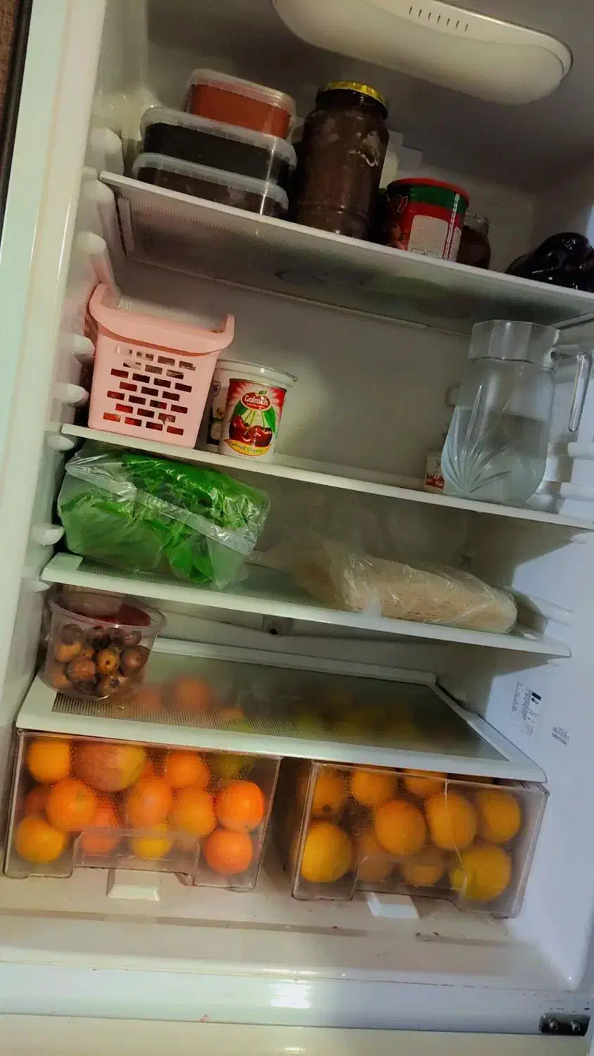 یخچال|یخچال و فریزر|لشت نشا, |دیوار