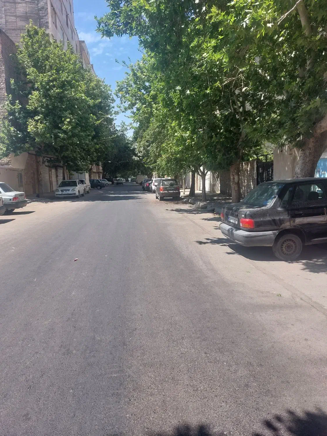 همخونه مجرد|اجارهٔ آپارتمان|مشهد, نوید|دیوار