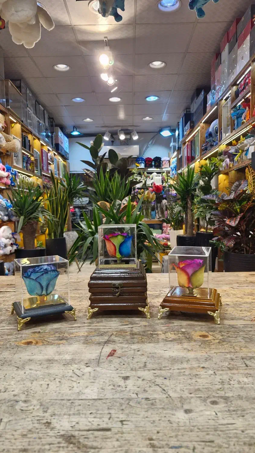 گل روز جاودان|گل مصنوعی|مشهد, آزادشهر|دیوار