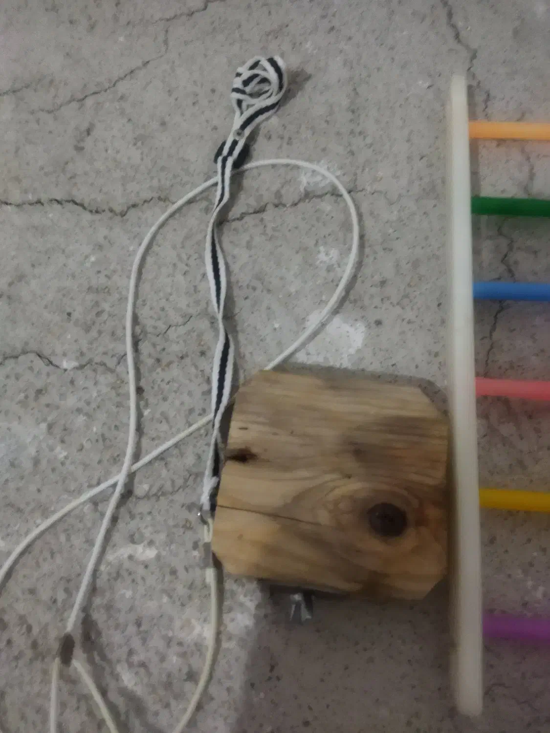 وسایل پرنده کاملا سالم|لوازم جانبی حیوانات|بوکان, |دیوار