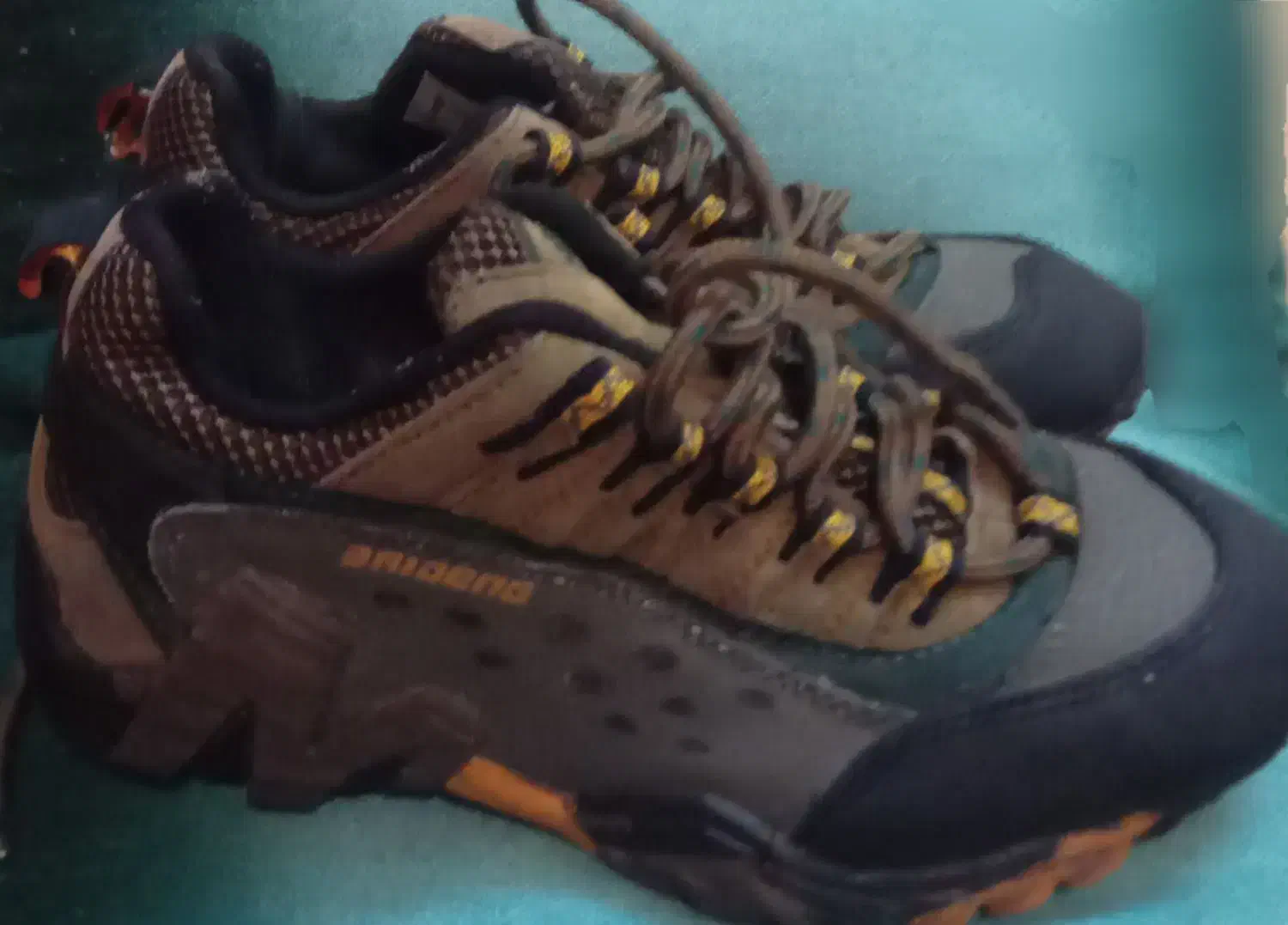 کفش کوهنوردی وپیاده روی|کیف، کفش، کمربند|همدان, |دیوار