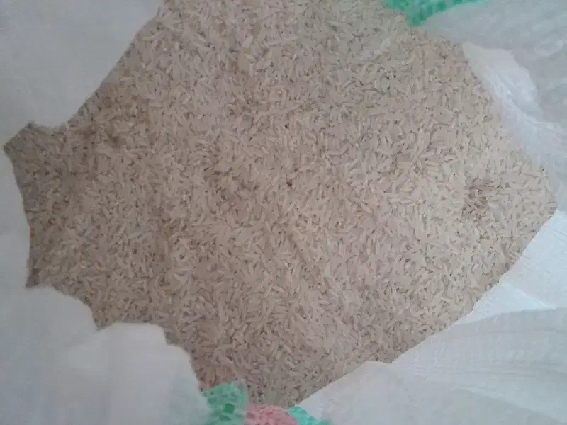 برنج ایرانی.شیرودی محصول تالش|خوردنی و آشامیدنی|گوراب زرمیخ, |دیوار