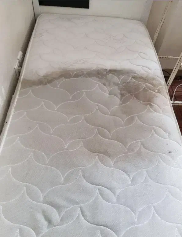 مبلشویی مبل شویی شستشو خوشخواب و فرش|خدمات نظافت|رضوانشهر, |دیوار