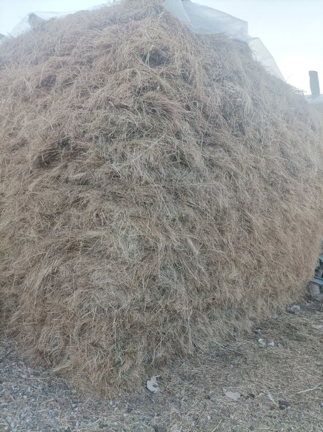 علف|لوازم جانبی حیوانات|سیلوانه, |دیوار