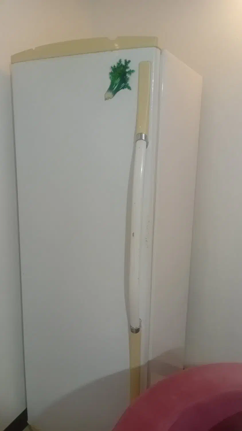 فریزر ۲۴ فوت الکترواستیل|یخچال و فریزر|رشت, سیا اسطلخ|دیوار