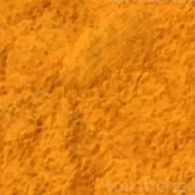 ادویه|خوردنی و آشامیدنی|بم, |دیوار