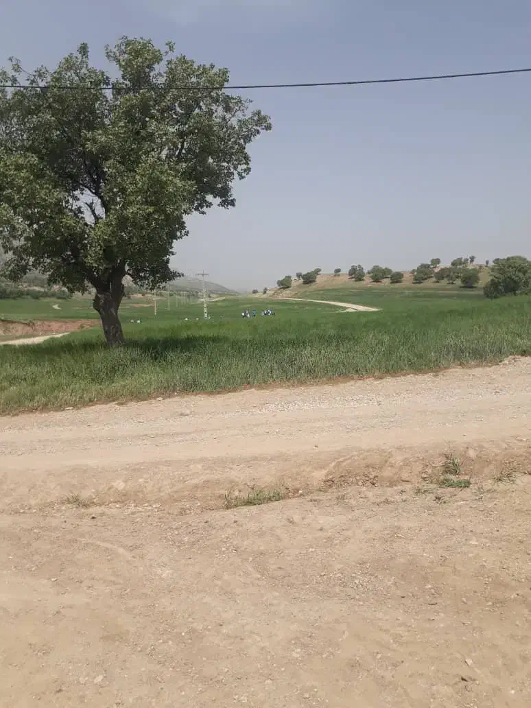 اجاره زمین کشاورزی|اجارهٔ دفتر صنعتی، کشاورزی، تجاری|کوهدشت, |دیوار