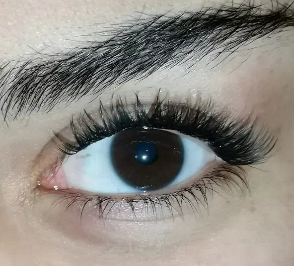 خدمات اکستنشن و لیفت و لمینت مژه|خدمات آرایشگری و زیبایی|شیراز, پودنک|دیوار