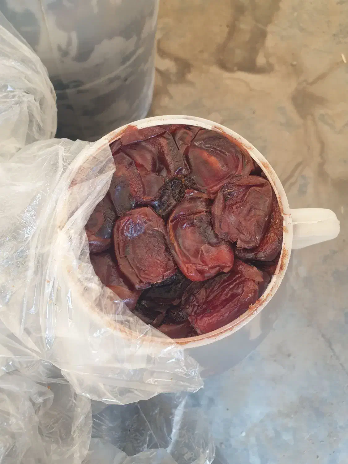 خرما بفروشی|خوردنی و آشامیدنی|ایرانشهر, |دیوار