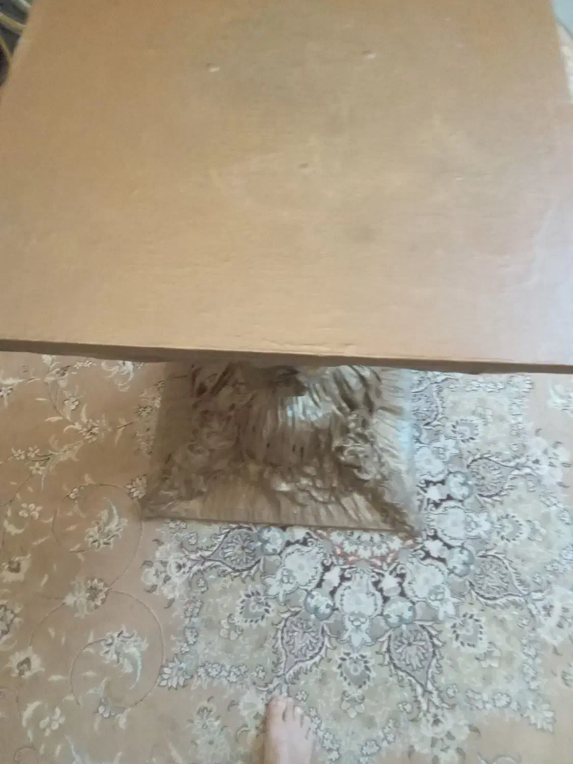 میز خاطر۶۰در۶۰|صنایع دستی و سایر لوازم تزئینی|تهران, استقلال|دیوار