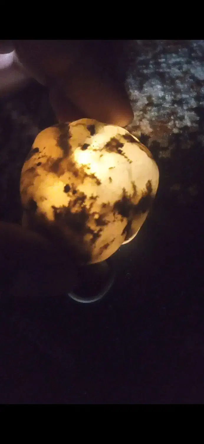 سنگ آنتیک و خاص|جواهرات|مشهد, سجاد شهر|دیوار