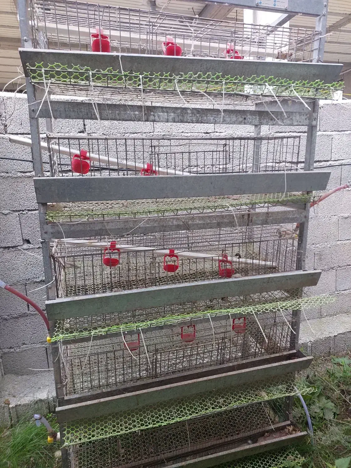 فروش قفسه۵طبقه بلدرچین وجوجه|لوازم جانبی حیوانات|تالش, جوکندان|دیوار