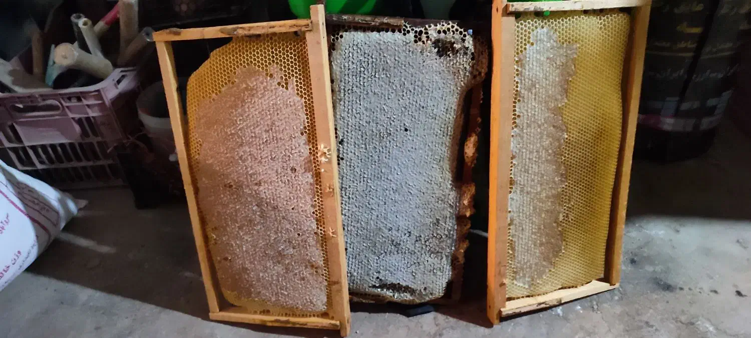 عسل صد در صد طبیعی با ضمانت|خوردنی و آشامیدنی|سروآباد, |دیوار