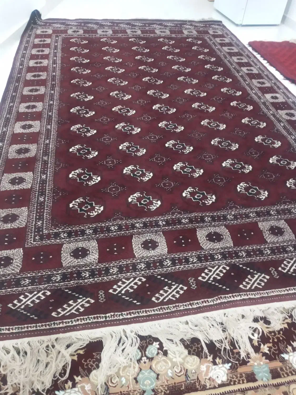 فرش ترکمنی|فرش|گنبد کاووس, |دیوار