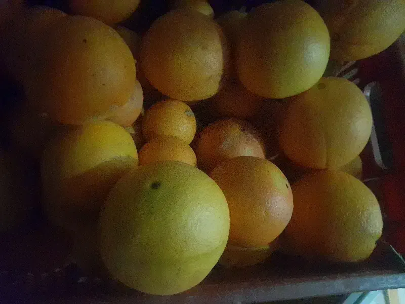 کارگر پرتغال|استخدام خدمات فروشگاه و رستوران|گرگان, |دیوار