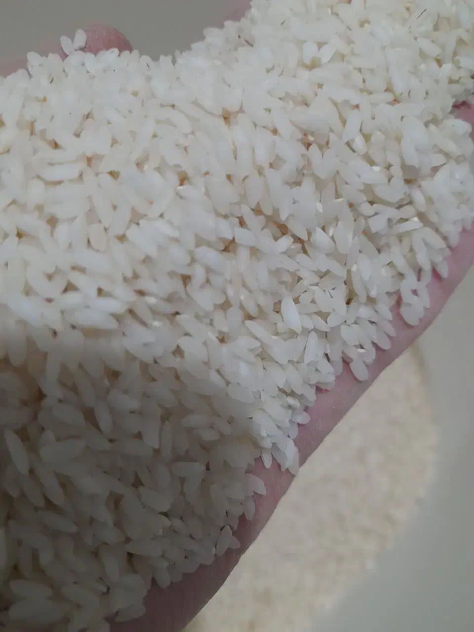 برنج چمپای میداوود ـ سرله ـ دوگچه وو|خوردنی و آشامیدنی|اهواز, کوی مهدیس|دیوار