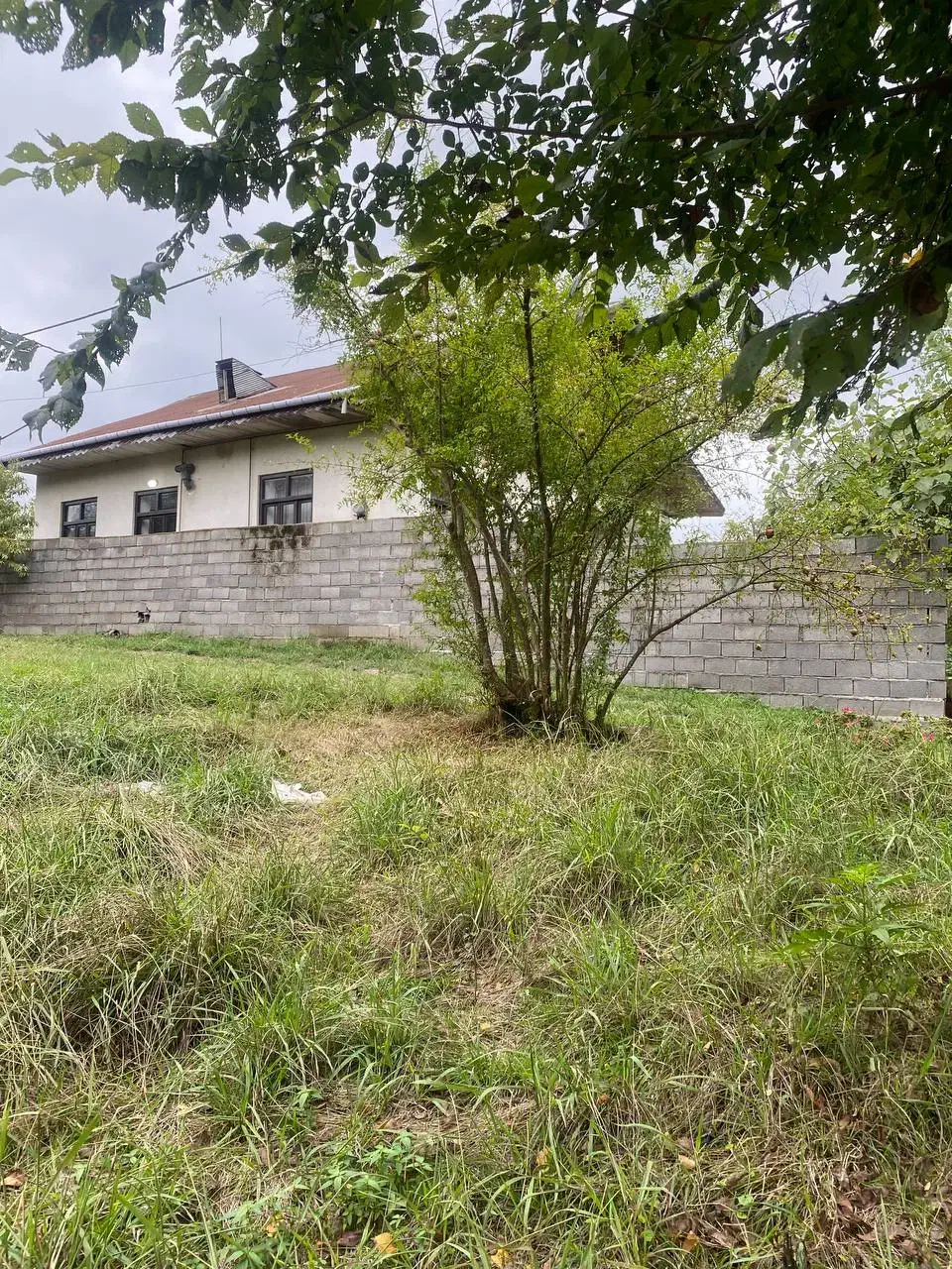 اجاره کوتاه مدت ویلای ۴۰۰ متری|اجارهٔ کوتاه‌مدت آپارتمان و سوئیت|لاهیجان, بازکیاگوراب|دیوار