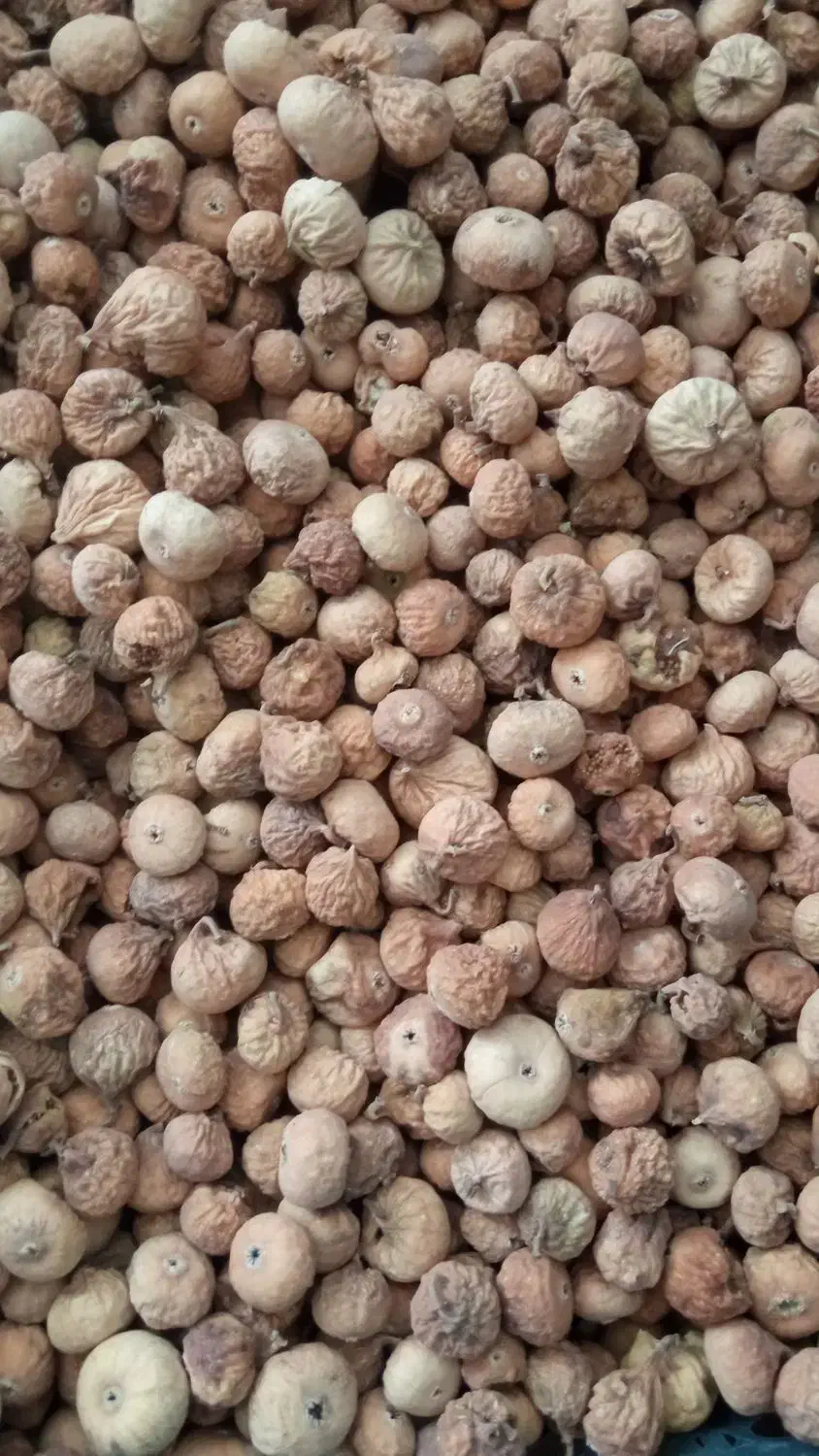 انجیر استهبان|خوردنی و آشامیدنی|شیراز, گل سرخ|دیوار